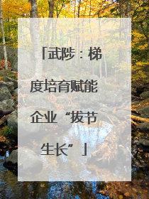 武陟：梯度培育赋能企业“拔节生长”