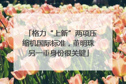 格力“上新”两项压缩机国际标准，董明珠另一重身份很关键