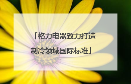 格力电器致力打造制冷领域国际标准