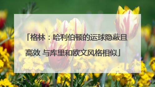 格林：哈利伯顿的运球隐蔽且高效 与库里和欧文风格相似