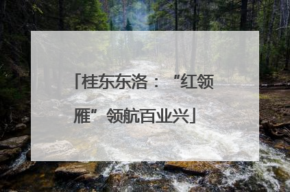 桂东东洛：“红领雁”领航百业兴