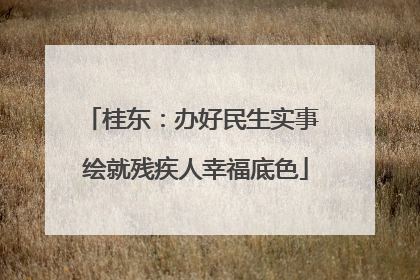 桂东：办好民生实事 绘就残疾人幸福底色