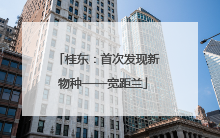 桂东：首次发现新物种——宽距兰