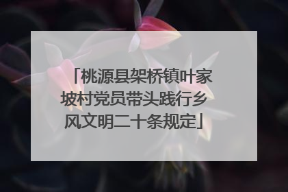桃源县架桥镇叶家坡村党员带头践行乡风文明二十条规定