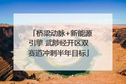 桥梁动脉+新能源引擎 武陟经开区双赛道冲刺半年目标