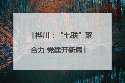 桦川：“七联”聚合力 党建开新局