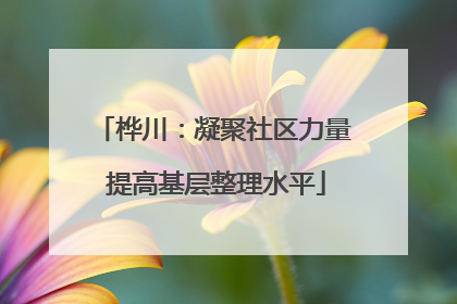 桦川：凝聚社区力量 提高基层整理水平