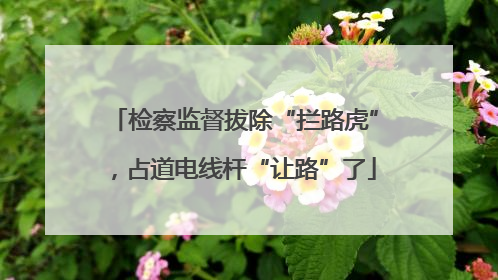 检察监督拔除“拦路虎”，占道电线杆“让路”了