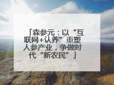 森参元：以“互联网+认养”重塑人参产业，争做时代“新农民”