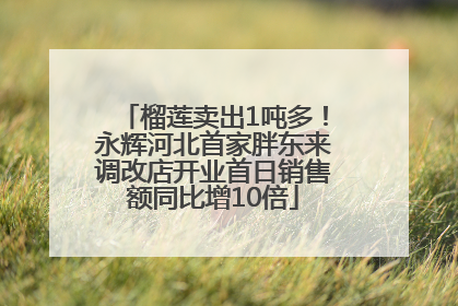 榴莲卖出1吨多！永辉河北首家胖东来调改店开业首日销售额同比增10倍