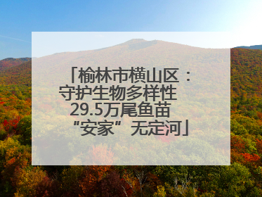 榆林市横山区：守护生物多样性 29.5万尾鱼苗“安家”无定河
