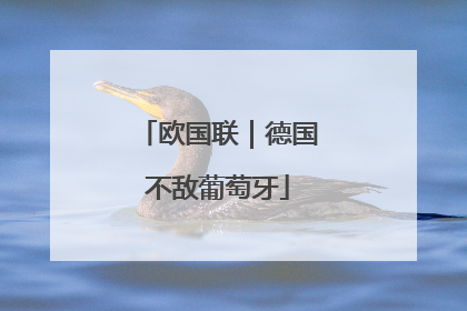 欧国联｜德国不敌葡萄牙