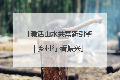 激活山水共富新引擎｜乡村行·看振兴