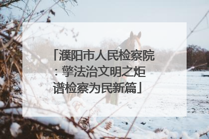 濮阳市人民检察院：擎法治文明之炬 谱检察为民新篇