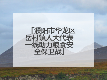 濮阳市华龙区岳村镇人大代表一线助力粮食安全保卫战