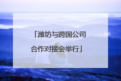 潍坊与跨国公司合作对接会举行