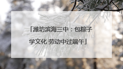 潍坊滨海三中：包粽子学文化 劳动中过端午