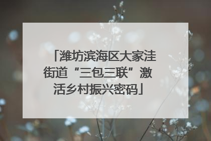潍坊滨海区大家洼街道“三包三联”激活乡村振兴密码