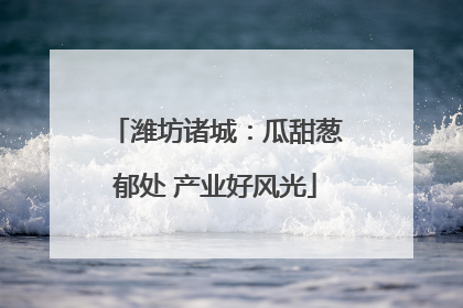 潍坊诸城：瓜甜葱郁处 产业好风光