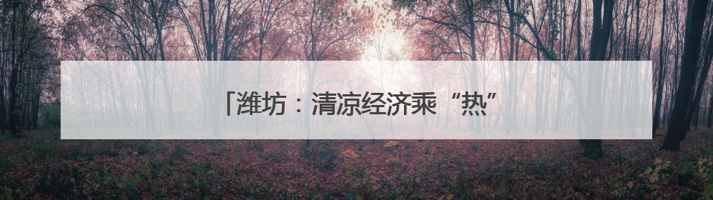 潍坊：清凉经济乘“热”而上 消暑产品销量猛增