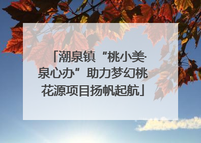 潮泉镇“桃小美·泉心办”助力梦幻桃花源项目扬帆起航