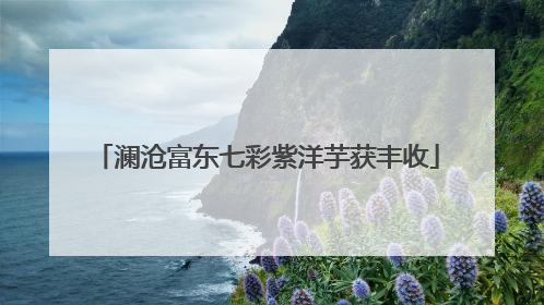 澜沧富东七彩紫洋芋获丰收