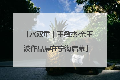 水双重｜王敏杰·余王波作品展在宁海启幕
