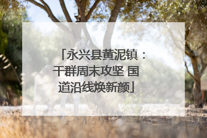 永兴县黄泥镇：干群周末攻坚 国道沿线焕新颜