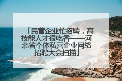 民营企业忙招聘，高技能人才很吃香——河北省个体私营企业网络招聘大会扫描