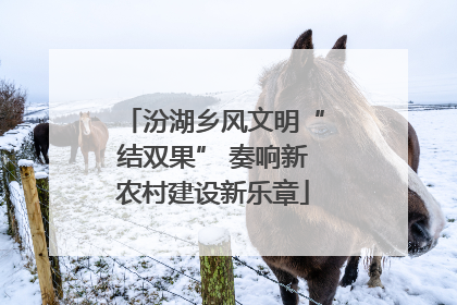 汾湖乡风文明“结双果” 奏响新农村建设新乐章