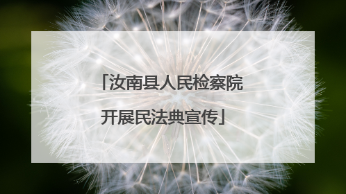 汝南县人民检察院开展民法典宣传