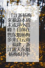 江浙杨梅采摘游本周末或迎小高峰！目前在售东魁杨梅多来自云南、福建，浙江露天东魁杨梅6月中旬大量上市