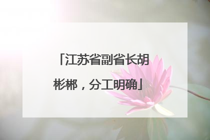 江苏省副省长胡彬郴，分工明确