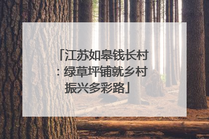 江苏如皋钱长村：绿草坪铺就乡村振兴多彩路