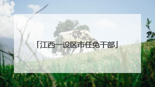 江西一设区市任免干部
