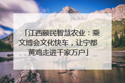 江西颐民智慧农业：乘文博会文化快车，让宁都黄鸡走进千家万户