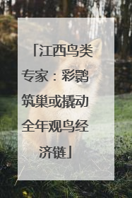 江西鸟类专家：彩鹮筑巢或撬动全年观鸟经济链