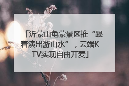沂蒙山龟蒙景区推“跟着演出游山水”，云端KTV实现自由开麦