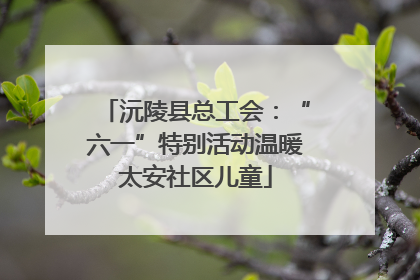 沅陵县总工会：“六一”特别活动温暖太安社区儿童