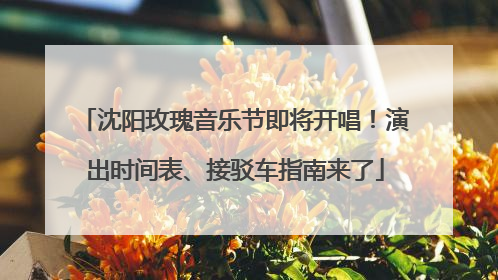 沈阳玫瑰音乐节即将开唱！演出时间表、接驳车指南来了