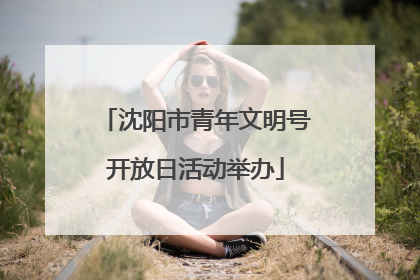 沈阳市青年文明号开放日活动举办