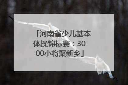 河南省少儿基本体操锦标赛：3000小将聚新乡
