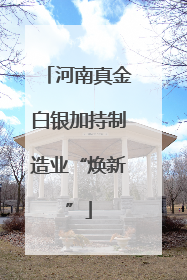 河南真金白银加持制造业“焕新”
