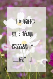 河南杞县：抗旱保苗战“三夏”