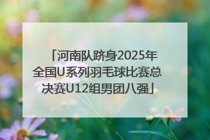 河南队跻身2025年全国U系列羽毛球比赛总决赛U12组男团八强