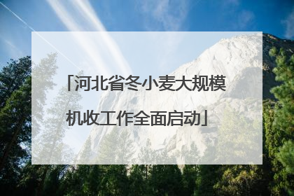 河北省冬小麦大规模机收工作全面启动