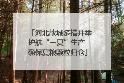 河北故城多措并举护航“三夏”生产 确保夏粮颗粒归仓