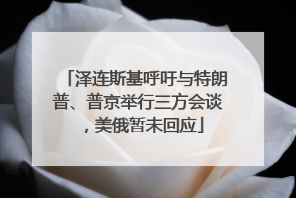 泽连斯基呼吁与特朗普、普京举行三方会谈，美俄暂未回应