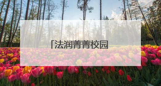 法润菁菁校园 庭护灼灼青春