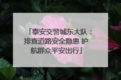 泰安交警城东大队：排查道路安全隐患 护航群众平安出行